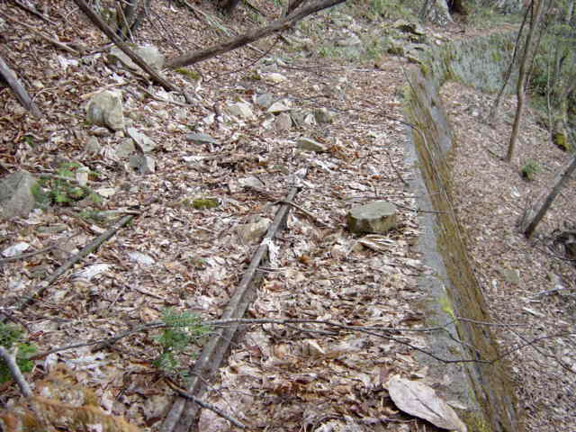 ���͗ѓS,�X�ѓS��,�p����,�㕔�O��,�O����,����c�я�,���