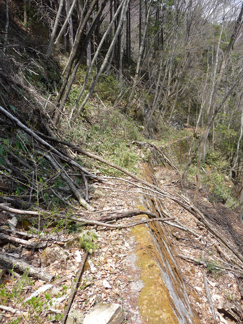 ���͗ѓS,�X�ѓS��,�p����,�㕔�O��,�O����,����c�я�,���