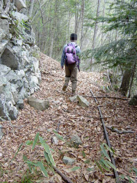 ���͐X�ѓS��,�ѓS,�p����,����c�я�,�O����,���,�㕔�O��