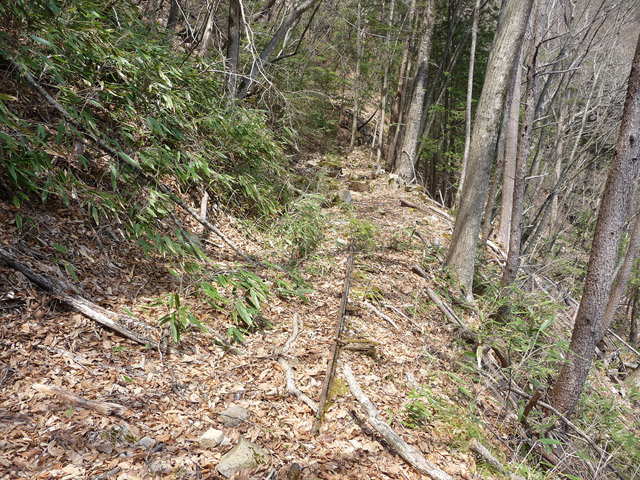 ���͐X�ѓS��,�ѓS,�p����,����c�я�,�O����,���,�㕔�O��