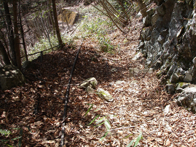 ���͐X�ѓS��,�ѓS,�p����,����c�я�,�O����,���,�㕔�O��