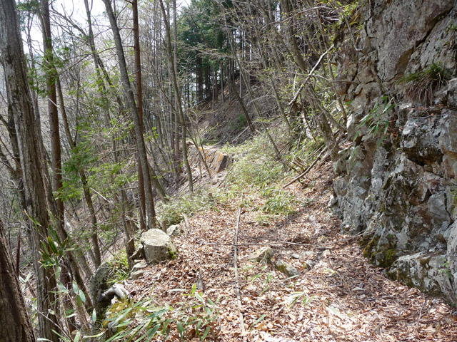 ���͐X�ѓS��,�ѓS,�p����,����c�я�,�O����,���,�㕔�O��