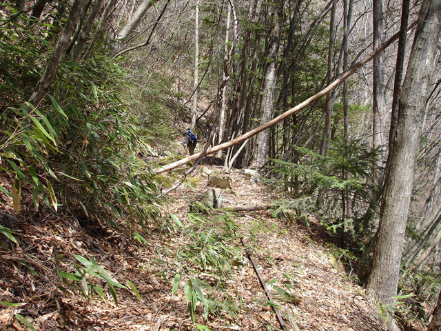 ���͐X�ѓS��,�ѓS,�p����,����c�я�,�O����,���,�㕔�O��