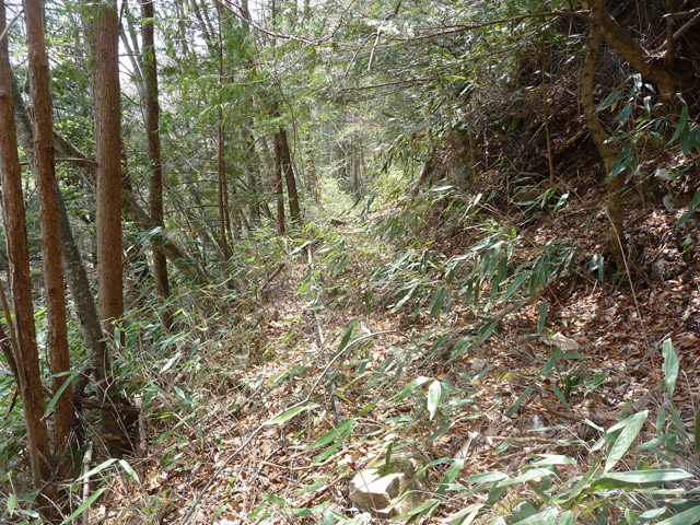 ���͗ѓS,�X�ѓS��,�p����,�㕔�O��,�O����,����c�я�,���