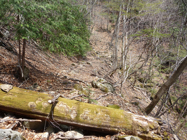 ���͗ѓS,�X�ѓS��,�p����,�㕔�O��,�O����,����c�я�,���