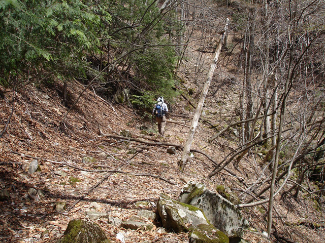 ���͗ѓS,�X�ѓS��,�p����,�㕔�O��,�O����,����c�я�,���