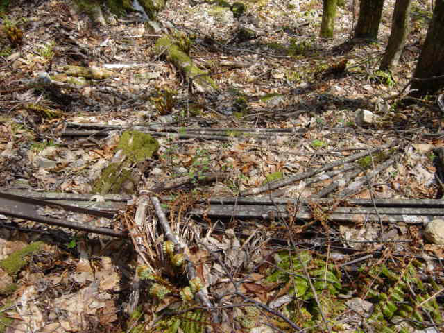 ���͗ѓS,�X�ѓS��,�p����,�㕔�O��,�O����,����c�я�,���