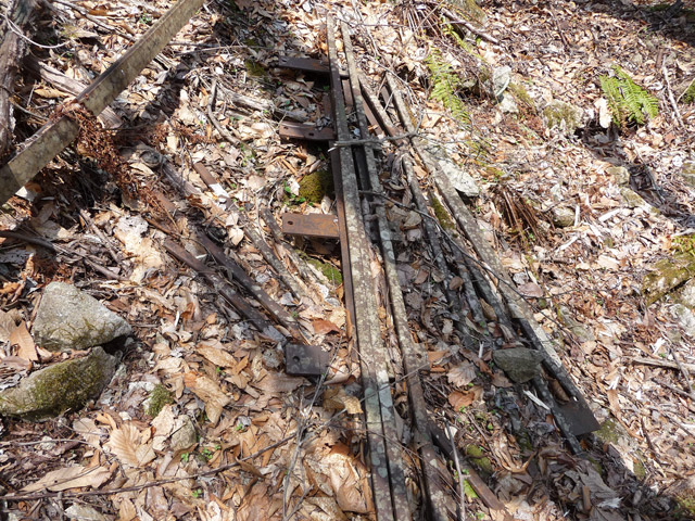 ���͗ѓS,�X�ѓS��,�p����,�㕔�O��,�O����,����c�я�,���