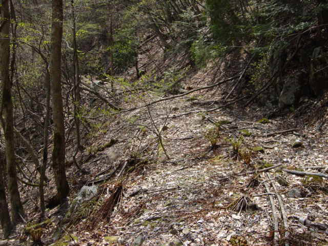 ���͗ѓS,�X�ѓS��,�p����,�㕔�O��,�O����,����c�я�,���