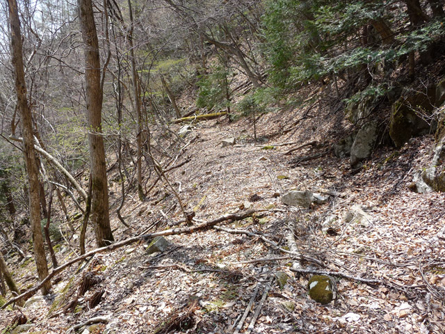 ���͗ѓS,�X�ѓS��,�p����,�㕔�O��,�O����,����c�я�,���