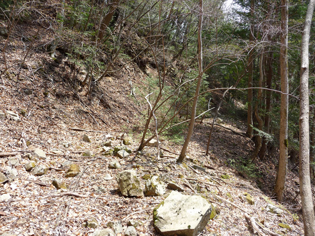 ����X�ѓS�����͐�,�ѓS,�p����,�O����,�㕔�O��