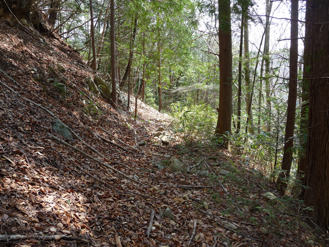 ����X�ѓS�����͐�,�ѓS,�p����,�O����,�㕔�O��