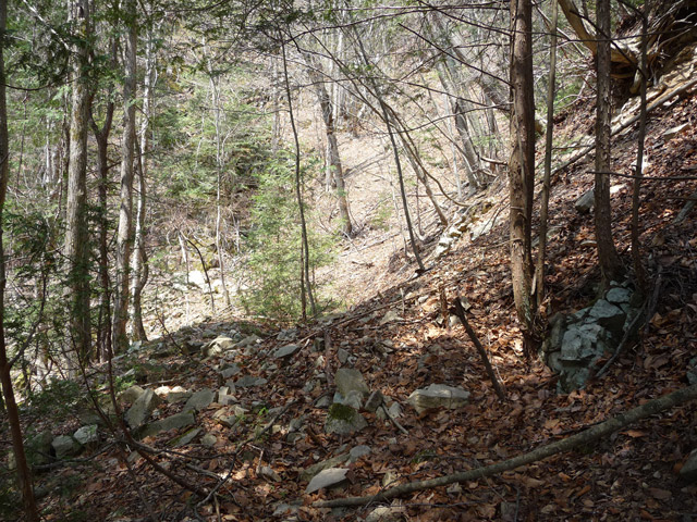 ����X�ѓS�����͐�,�ѓS,�p����,�O����,�㕔�O��