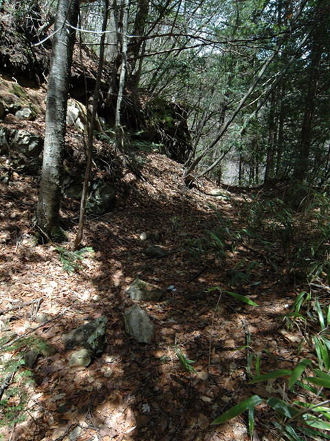 ����X�ѓS�����͐�,�ѓS,�p����,�O����,�㕔�O��