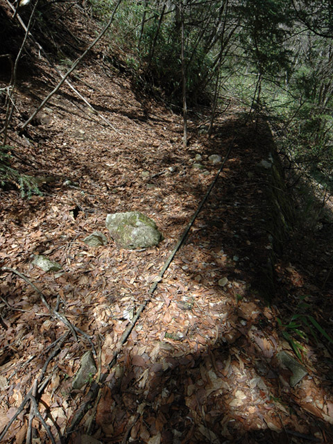 ����X�ѓS�����͐�,�ѓS,�p����,�O����,�㕔�O��