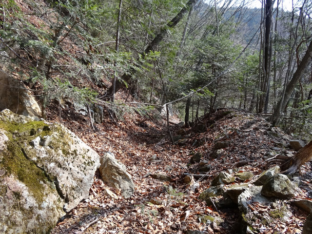 ����X�ѓS�����͐�,�ѓS,�p����,�O����,�㕔�O��