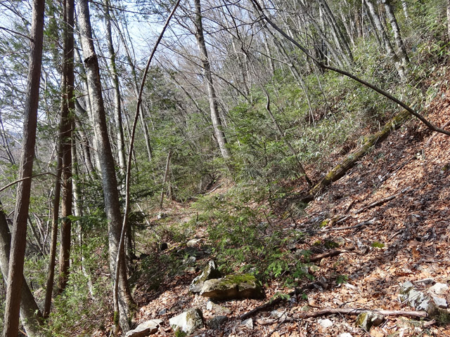 ����X�ѓS�����͐�,�ѓS,�p����,�O����,�㕔�O��