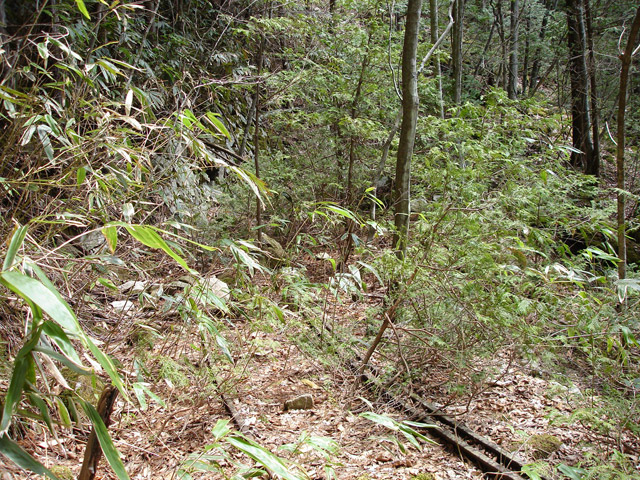 ����X�ѓS�����͐�,�ѓS,�p����,�O����,�㕔�O��