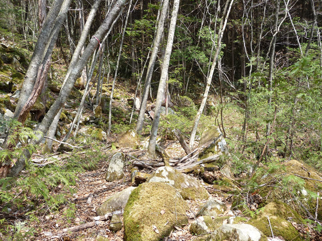 ���͐X�ѓS��,�ѓS,�p����,����c�я�,�O����,���,�㕔�O��