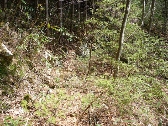 ���͐X�ѓS��,�ѓS,�p����,����c�я�,�㕔�O��,���z