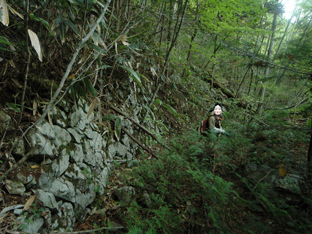 ���͐X�ѓS��,�ѓS,�p����,����c�я�,�㕔�O��,���z