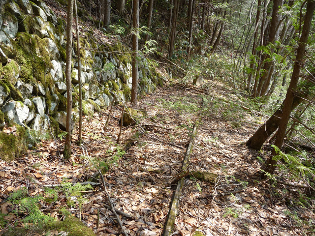 ���͐X�ѓS��,�ѓS,�p����,����c�я�,�㕔�O��,���[��,�Ί_