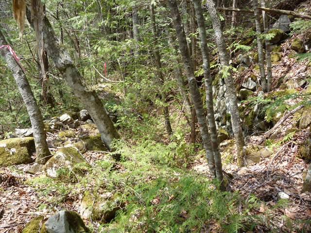 ���͐X�ѓS��,�ѓS,�p����,����c�я�,�㕔�O��,�i��,�Ί_