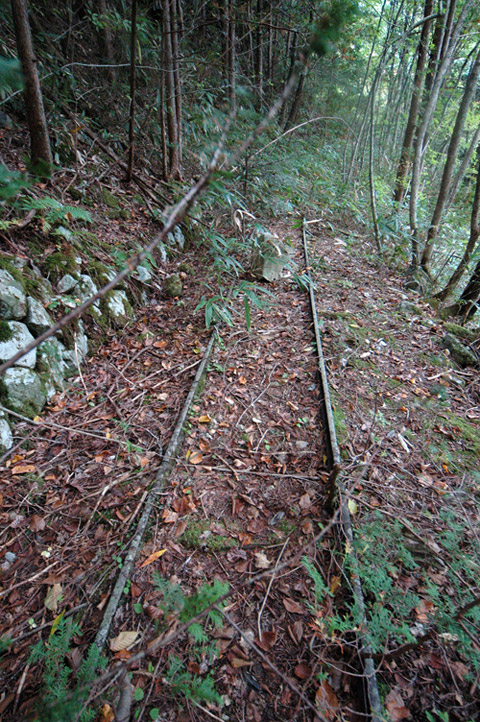 ���͐X�ѓS��,�ѓS,�p����,����c�я�,�㕔�O��,���H,���[��