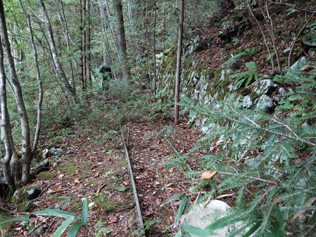 ���͐X�ѓS��,�ѓS,�p����,����c�я�,�㕔�O��,���H,���[��