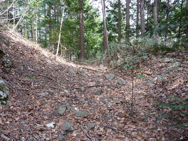 ����X�ѓS�����͐�,�ѓS,�p����,�؍މ^���O����,�㕔�O��,�J�[�u,�H��