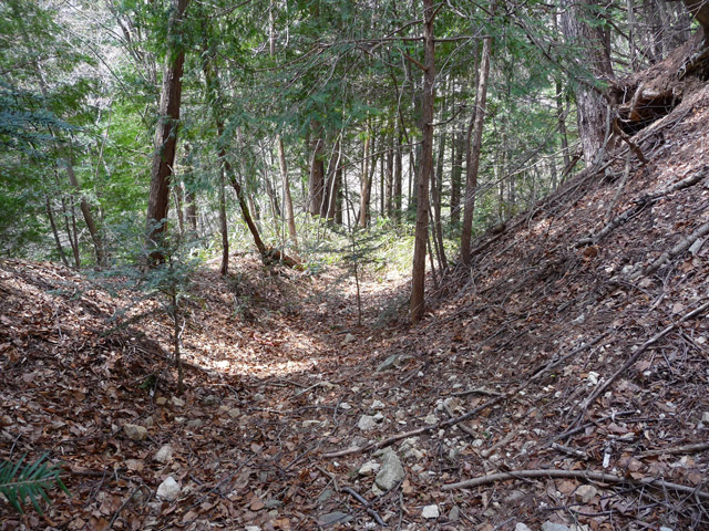 ����X�ѓS�����͐�,�ѓS,�p����,�؍މ^���O����,�㕔�O��,�J�[�u,�H��