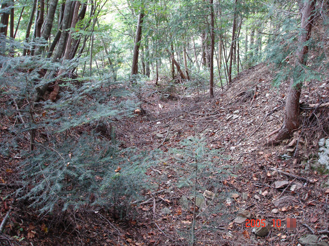 ����X�ѓS�����͐�,�ѓS,�p����,�؍މ^���O����,�㕔�O��,�J�[�u,�H��