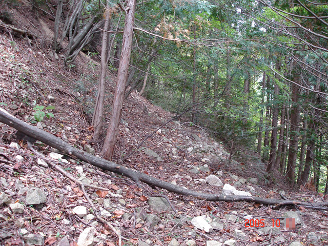 ����X�ѓS�����͐�,�ѓS,�p����,�؍މ^���O����,�㕔�O��,����,�ѓ�