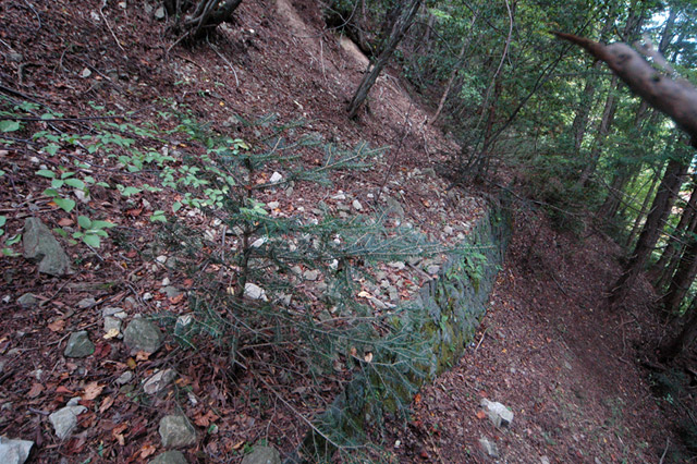 ����X�ѓS�����͐�,�ѓS,�p����,�؍މ^���O����,�㕔�O��,����,�ѓ�