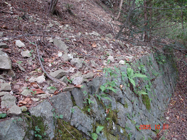 ����X�ѓS�����͐�,�ѓS,�p����,�؍މ^���O����,�㕔�O��,�Ί_,�ѓ�