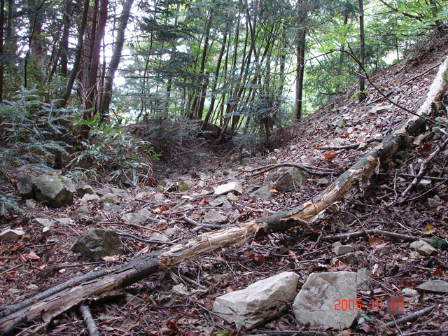 ����X�ѓS�����͐�,�ѓS,�p����,�؍މ^���O����,�㕔�O��,�H��,�ѓ�