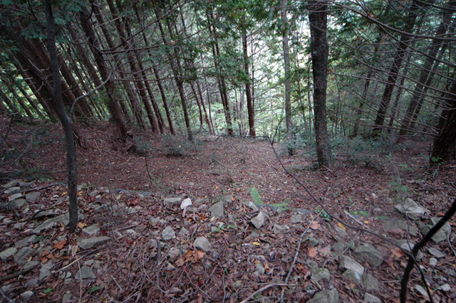 ����X�ѓS�����͐�,�ѓS,�p����,�؍މ^���O����,�㕔�O��,�H��,�ѓ�