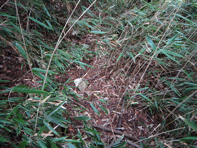 ���͐X�ѓS��,�ѓS,�p����,����c�я�,�㕔��,�؍މ^���O����,����