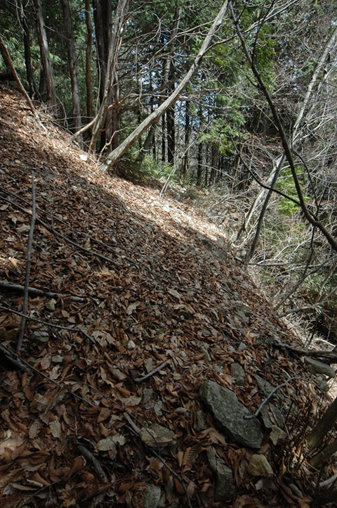 ���͐X�ѓS��,�ѓS,�p����,����c�я�,�O����,��������