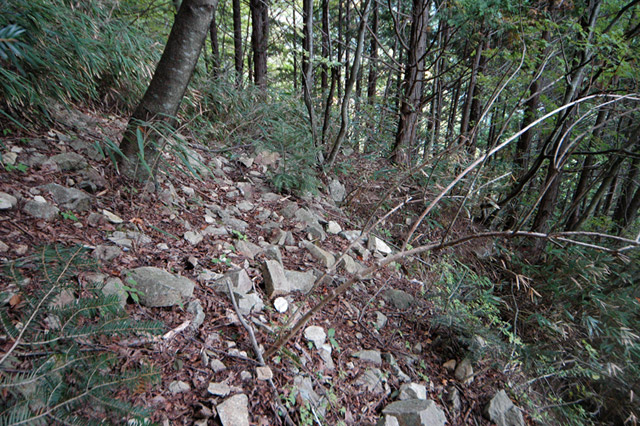 ���͐X�ѓS��,�ѓS,�p����,����c�я�,�㕔��,�؍މ^���O����,�H��