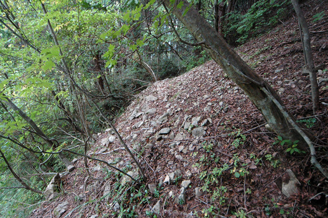 ���͐X�ѓS��,�ѓS,�p����,����c�я�,�㕔��,�؍މ^���O����,�H��