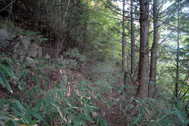 ���͐X�ѓS��,�ѓS,�p����,����c�я�,�㕔��,�؍މ^���O����,�ѓ�