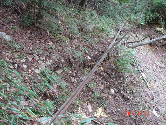 ����X�ѓS�����͐�,�ѓS,�p����,�g���b�R�O����,�㕔��,��������,���H