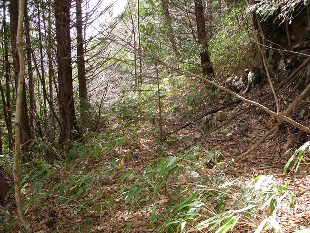 ����X�ѓS�����͐�,�ѓS,�p����,�X�ыO����,�㕔��,�H��