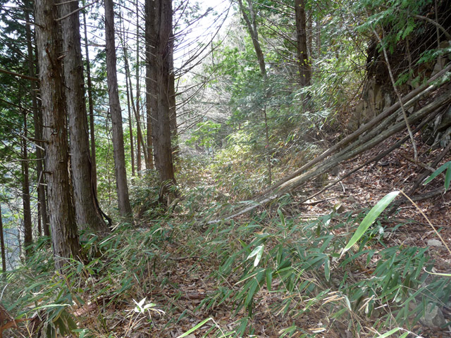 ����X�ѓS�����͐�,�ѓS,�p����,�їp�O����,�㕔��,�H��,����