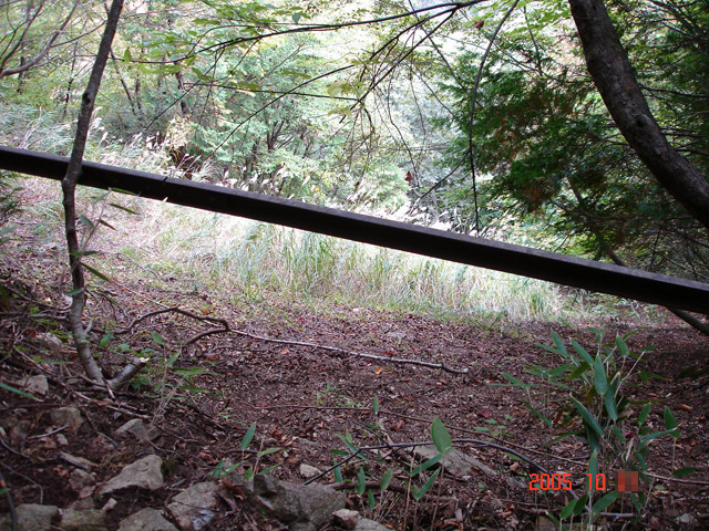 ���͐X�ѓS��,�ѓS,�p����,����c�я�,�㕔�O��,���[��,��������