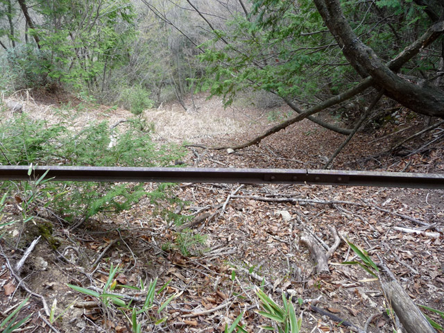 ���͐X�ѓS��,�ѓS,�p����,����c�я�,�㕔�O��,���[��,��������