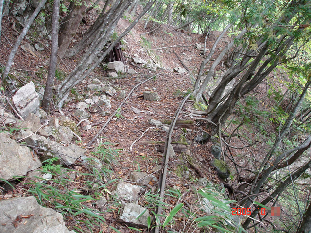 ����X�ѓS�����͐�,�ѓS,�p����,�їp�O����,�㕔��,�H��,���[��