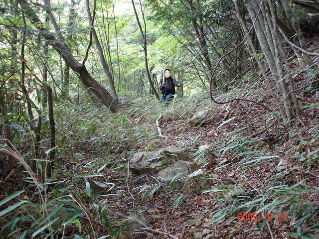 ����X�ѓS�����͐�,�ѓS,�p����,�їp�O����,�㕔��,�ѓ�