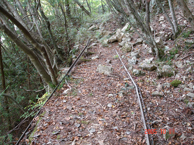 ���͐X�ѓS��,�ѓS,�p����,����c�я�,�㕔�O��,���[��,�ѓ�,���H